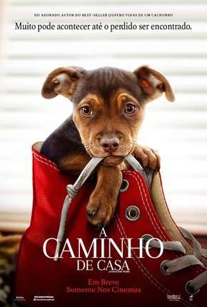 A Caminho de Casa - A Dogs Way Home 2019 Torrent