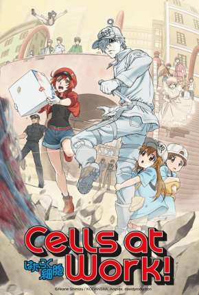 Hataraku Saibou - Cells at Work 2018 Torrent