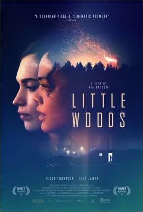 Little Woods - Legendado 2019 Torrent