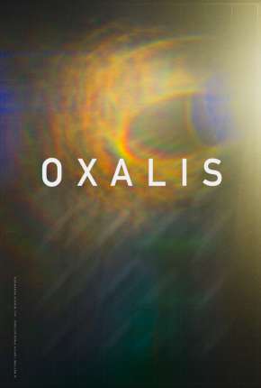 Oxalis - Legendado 2019 Torrent