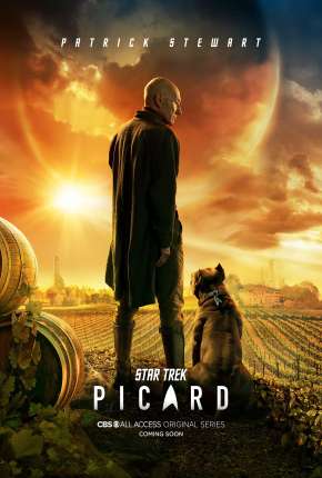 Star Trek - Picard - Legendada 2020 Torrent