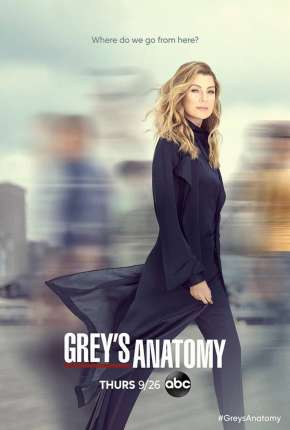 A Anatomia de Grey - 17ª Temporada Legendada 2020 Torrent