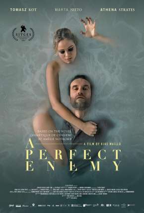 A Perfect Enemy - Legendado 2021 Torrent