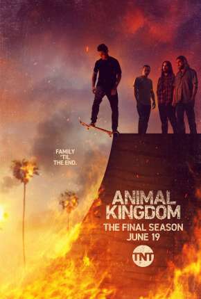 Animal Kingdom - 5ª Temporada Legendada 2021 Torrent