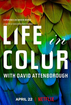 Life In Colour - 1ª Temporada Completa 2021 Torrent