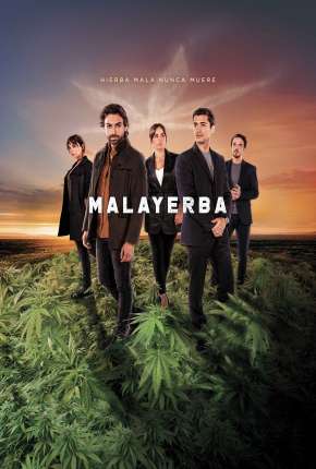 MalaYerba - 1ª Temporada 2021 Torrent