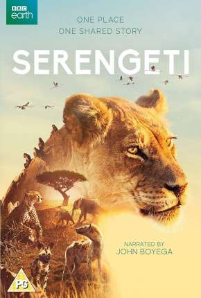 Serengeti - 2ª Temporada Completa Legendada 2021 Torrent