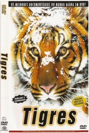 Tigres / Na Sombra do Tigre 1999 Google Drive